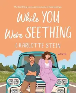 Romantická beletria While You Were Seething - Charlotte Stein