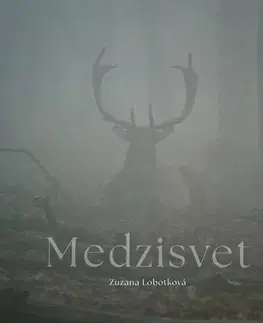 Fotografia Medzisvet - Zuzana Lobotková
