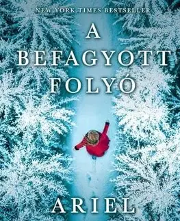 Historické romány A befagyott folyó - Ariel Lawhon