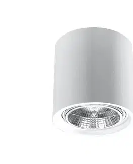 Svietidlá  SL.0841 - Bodové svietidlo KALU 1xGU10/ES111/40W/230V SL.0841