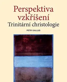 Pre vysoké školy Perspektiva vzkříšení - Petr Gallus
