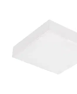 LED osvetlenie Emithor  - LED stropné svietidlo SURFACE LED/10W/230V 