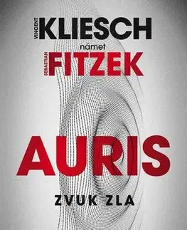 Detektívky, trilery, horory Zvuk zla - Vincent Kliesch a Sebastian Fitzek