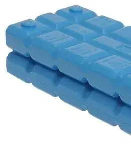 Dózy na potraviny Kinekus Vložka chladiaca, hmotnosť 200g, bal. 2ks