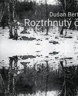 Detektívky, trilery, horory Roztrhnutý čas III. - Dušan Bertič