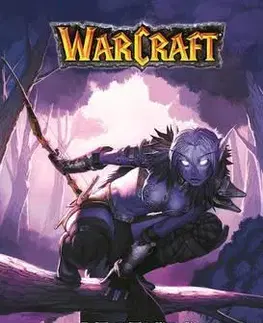 Cudzojazyčná literatúra Warcraft Legends 2 - Richard A. Knaak,Aaron Sparrow,Dan Jolley