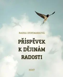 Romantická beletria Příspěvek k dějinám radosti - Radka Denemarková