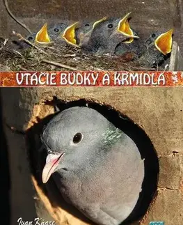 Vtáky, hydina Vtáčie búdky a kŕmidlá - Ivan Kňaze