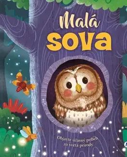 Leporelá, krabičky, puzzle knihy Malá sova - Rose Harkness