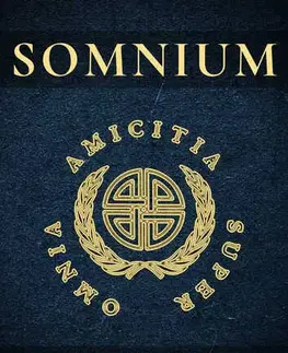Detektívky, trilery, horory Somnium - Peter Martiniak