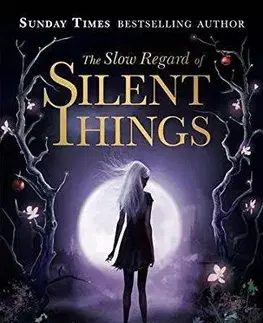 Cudzojazyčná literatúra The Slow Regard of Silent Things - Patrick Rothfuss