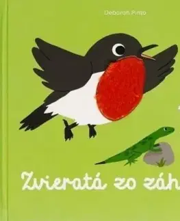 Leporelá, krabičky, puzzle knihy Spoznávaj dotykom - Zvieratá zo záhrady - Deborah Pinto