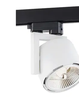 Svietidlá Argon 4750 - Bodové svietidlo ALTO 1xGU10-AR111/12W/230V biela 4750