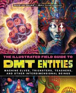 Ezoterika The Illustrated Field Guide to DMT Entities - David Jay Brown,Sara Phinn Huntley