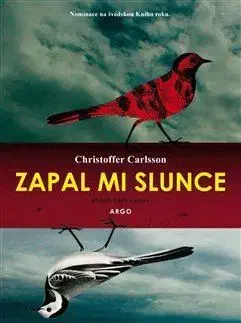 Detektívky, trilery, horory Zapal mi slunce - Christoffer Carlsson