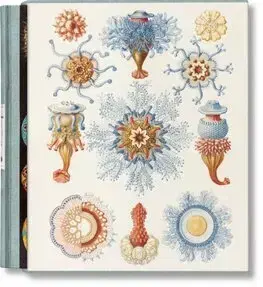 Umenie - ostatné The Art and Science of Ernst Haeckel - Rainer Willmann,Julia Voss,Ernst Haeckel