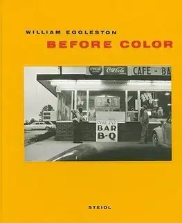 Fotografia Before Color - William Eggleston