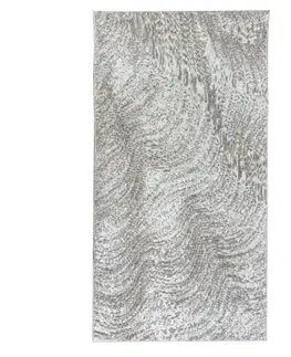 Moderné koberce Koberec Petra 1,6/2,30 Oz1311a-Dbd-Sivr-Lbei