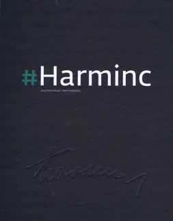 Architektúra Harminc - Jana Pohaničová,Peter Vodrážka