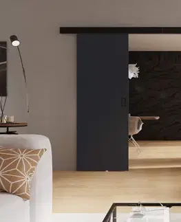 Posuvné dvere KIER Posuvné dvere WERDI DUO | 132 cm Farba: Grafit