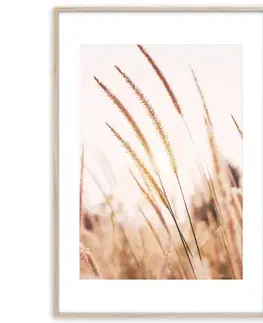 Dekorácie a bytové doplnky Artbox Digi 50x70 Ab078 Grasses I
