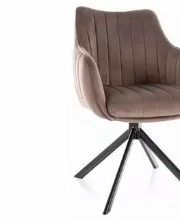 Jedálenské stoličky a kreslá Stolička Azalia Velvet