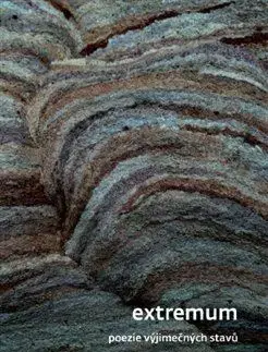 Literárna veda, jazykoveda, slovníky Extremum - Josef Vojvodík