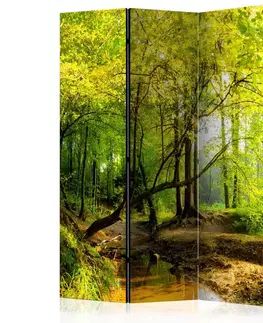 Paravány Paraván Forest Clearing Dekorhome