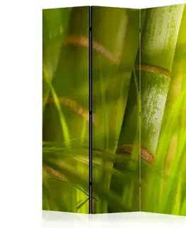 Paravány Paraván Bamboo - nature zen Dekorhome