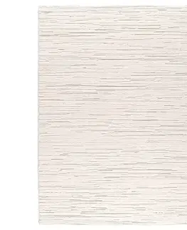 Moderné koberce Koberec Frisee Lexi 1,2/1,7 42301 060