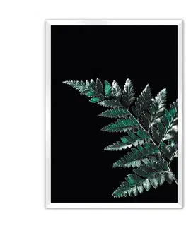 Obrazy Plagát Dark Leaf