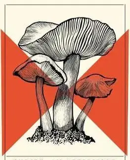 Cudzojazyčná literatúra Shriek - An Afterword - Jeff VanderMeer