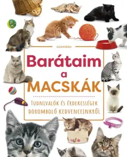 Príroda Barátaim, a macskák