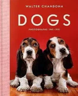 Cudzojazyčná literatúra Walter Chandoha. Dogs. Photographs 1941-1991 - Walter Chandoha