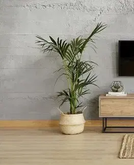 TV stolíky TV stolík Laxus 140 - Walnut