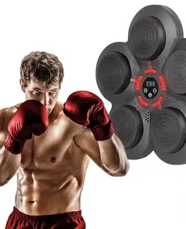 Boxovacie vrecia a hrušky Elektronický boxerský nástenný terč inSPORTline Smartpunch