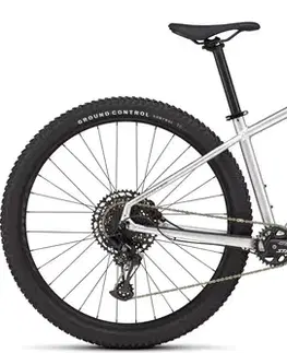 Hardtail SPECIALIZED Rockhopper Expert Gloss Silver Dust/Satin Burnt Gold Metallic Veľkosť: S