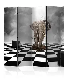 Paravány Paraván Escape from Africa Dekorhome