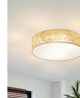 Svietidlá Eglo 97641 - Stropné svietidlo VISERBELLA 1xE27/60W/230V 97641