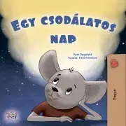 Rozprávky Egy csodálatos nap - Sagolski Sam