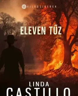 Detektívky, trilery, horory Eleven tűz - Linda Castillo