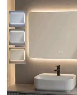Kúpeľňové zrkadlá BRILAGI - LED stmievateľné kúpeľňové vyhrievané zrkadlo s podsvietením DIANA LED/20W/230V 60x90 cm IP44 FG-GM1106-D-20W