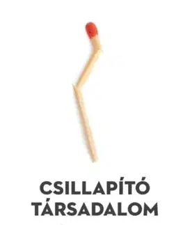 Odborná a náučná literatúra - ostatné Csillapító társadalom - A fájdalom ma - Byung-Chul Han