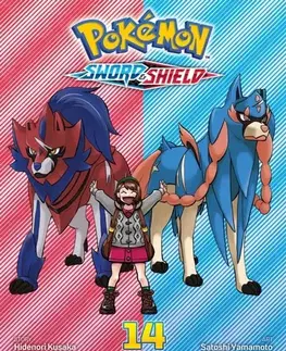 Beletria - ostatné Pokemon: Sword & Shield, Vol. 14 - Hidenori Kusaka