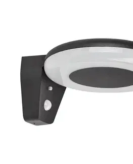 Záhradné lampy Rabalux 77010 - LED Solárne svietidlo so senzorom CERTOVO LED/4W/3,7V IP44 77010