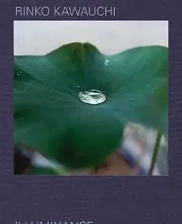 Fotografia Rinko Kawauchi: Illuminance - Rinko Kawauchi,David Chandler
