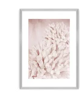 Obrazy Plagát Pastel Pink II