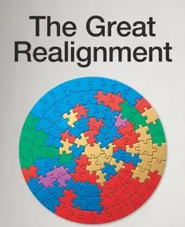 Politológia The Great Realignment - Stephen Davies