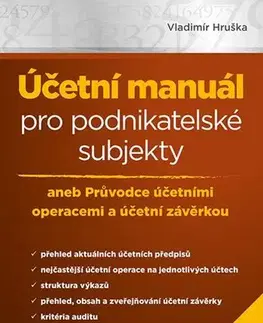 Dane, účtovníctvo Účetní manuál pro podnikatelské subjekty - 2. vydání - Vladimír Hruška