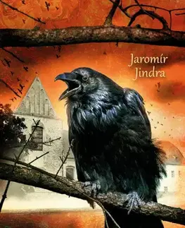 Historické romány Václav IV. - Na zármutek nezbyl čas - Jindra Jaromír